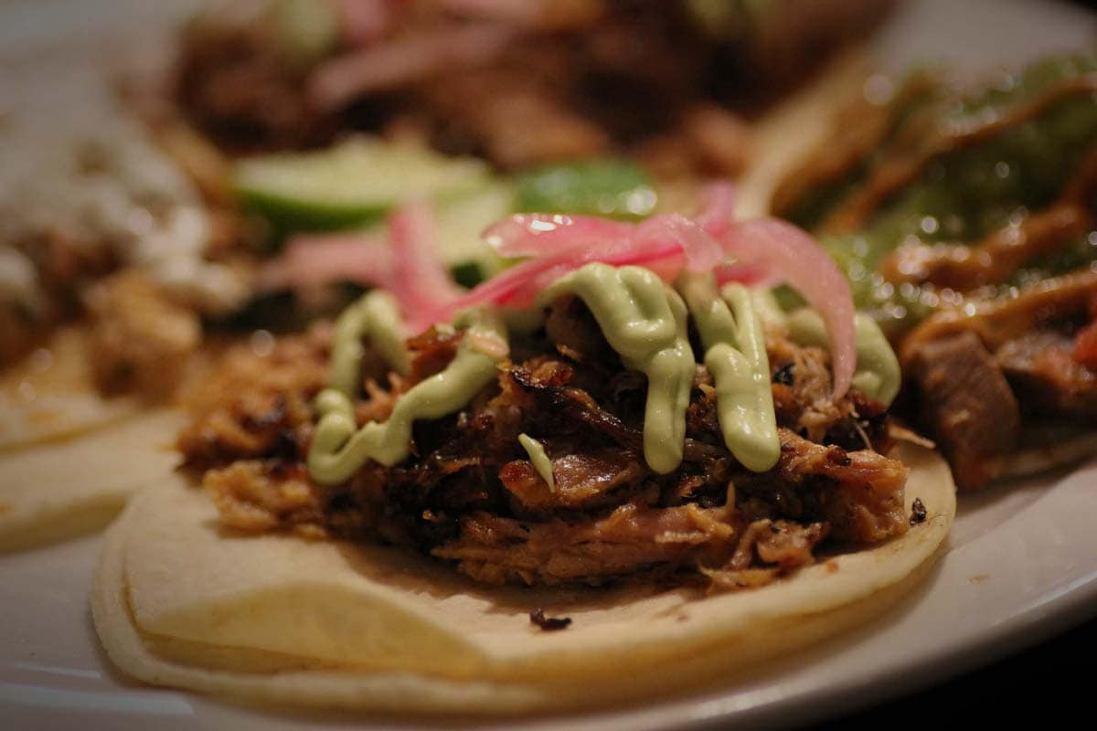 Carnitas tacos